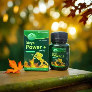 Divya Jan Power Capsules: Herbal supplement for enhanced sexual health and vitality.